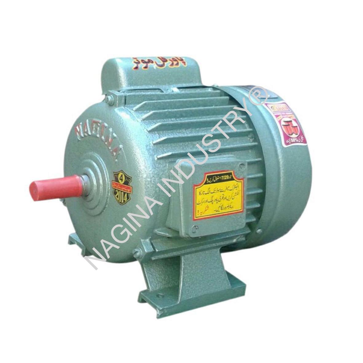nagina-3_4hp-motor